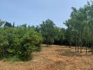 Annonce Vente Terrain Bourg-saint-andeol