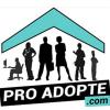 For rent Box office Saint-pierre  97410 36 m2
