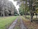 Annonce Vente 12 pièces Maison Termes-d'armagnac