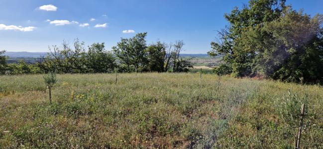 photo For sale Land PERET 34