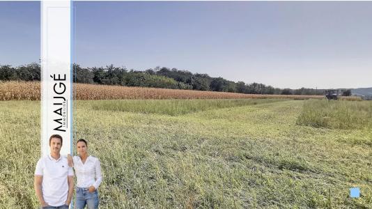 Vente Terrain CHAPONNAY  69