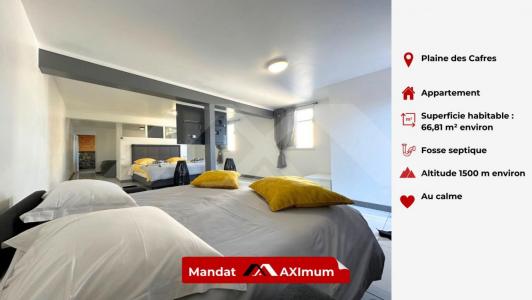 photo For rent House PLAINE-DES-CAFRES 974