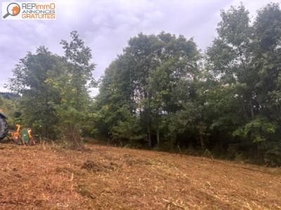 For sale Land JOB  63