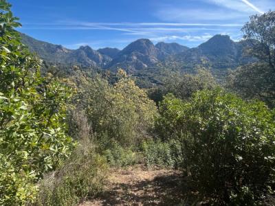 photo For sale Land OCANA 20