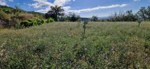 Land PERET 