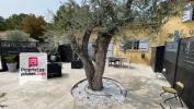 House FAYENCE 