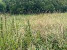 Annonce Vente Terrain Chatellerault