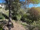 Land OCANA 
