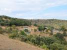 Annonce Vente Domaine agricole Saint-laurent-du-pape