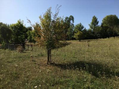 For sale Land ABZAC  33