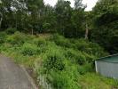 Vente Terrain Ceyrat 63