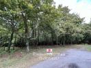 Annonce Vente Terrain Sanguinet
