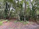 Acheter Terrain Sanguinet 49990 euros
