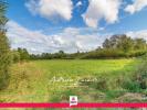 Acheter Terrain 10089 m2 Romorantin-lanthenay