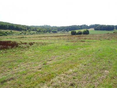 For sale House SAINTE-COLOMBE  40