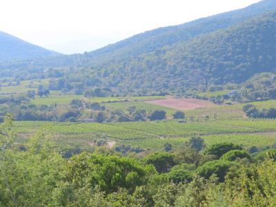 photo For sale Land COLLOBRIERES 83