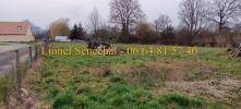 Annonce Vente Terrain Saint-corneille