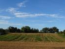 Acheter Terrain Isle-jourdain