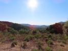 Land COLLOBRIERES 