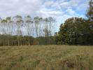 For sale Land Hagetmau 40700
