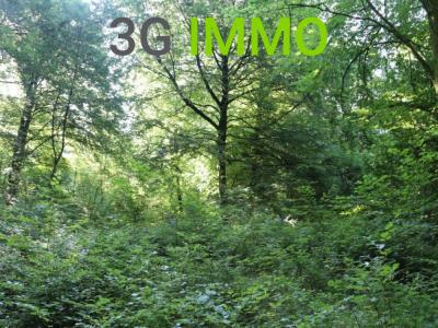 For sale Land CHERENCE  95
