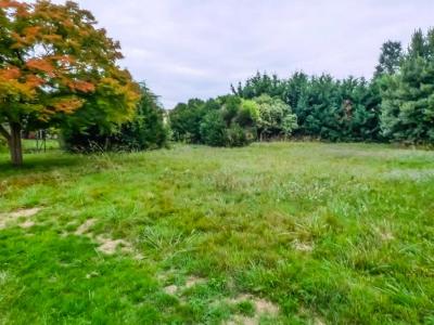 photo For sale Land LONS 64