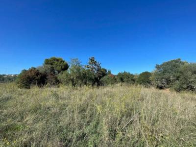 photo For sale Land CASENEUVE 84