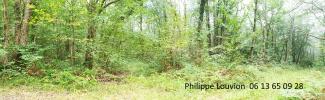 For sale Forested aera Duras 47120 26000 m2