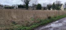 Annonce Vente Maison Goderville