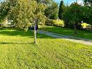 Annonce Vente Terrain Flaujagues