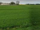Acheter Terrain Puyravault Charente maritime