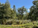 Annonce Vente Terrain Vendays-montalivet
