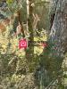 Annonce Vente Terrain Vendays-montalivet