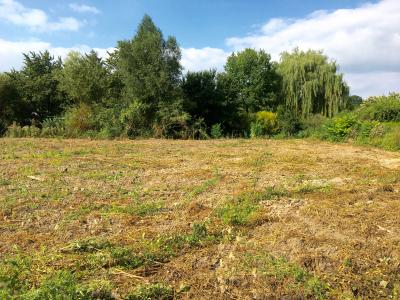 Vente Terrain DEMUIN  80