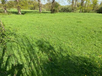 photo For sale Land MANOT 16