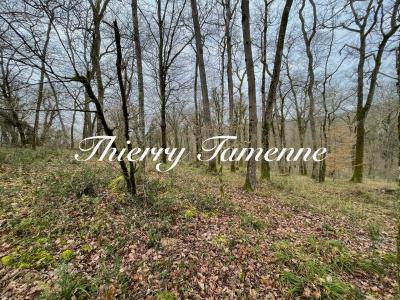 photo For sale Land BARBASTE 47