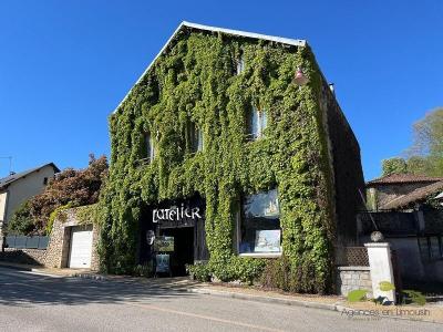 Vente Immeuble LINARDS  87