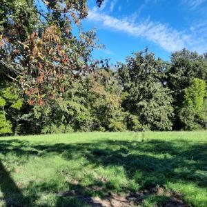photo For sale Land ESCOUTOUX 63