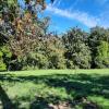 For sale Land Escoutoux  63300 1100 m2