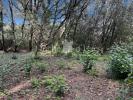 Acheter Terrain 1242 m2 Uzes