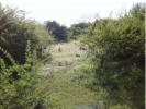 Vente Terrain Sainte-anne 971