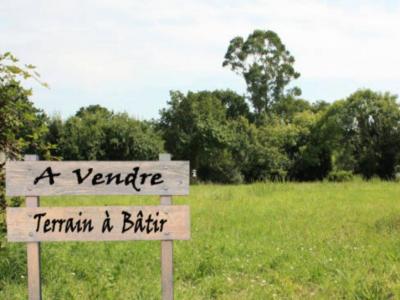 photo For sale Land MEILLONNAS 01