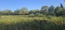 Annonce Vente Terrain Narbonne