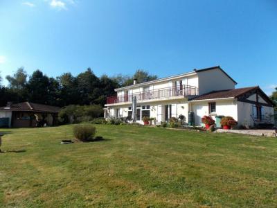 photo For sale Prestigious house DOURNAZAC 87