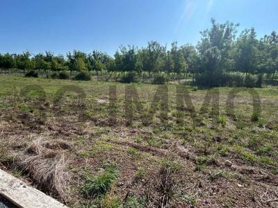 photo For sale Land CELLULE 63