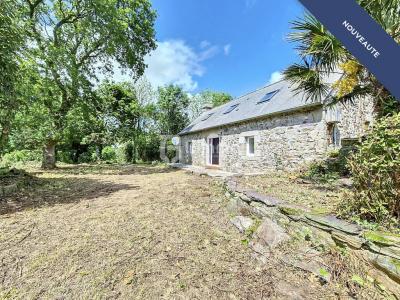 photo For sale House PLOMODIERN 29