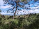 Annonce Vente Terrain Montauroux