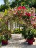 Prestigious house DOURNAZAC 