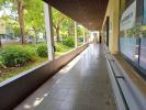 For rent Box office Sainte-clotilde  97490 81 m2