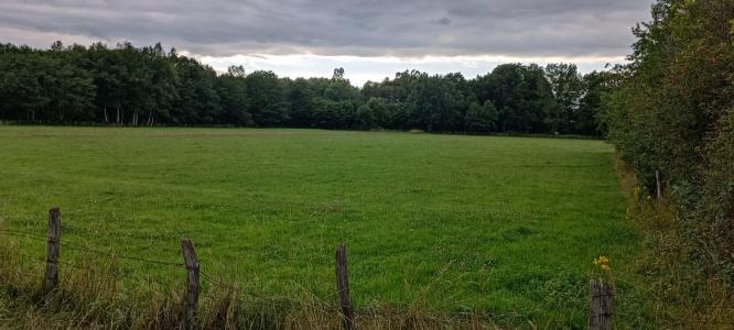photo For sale Land LUXEUIL-LES-BAINS 70